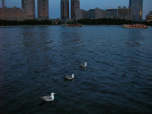 f0108399_17282853.jpg