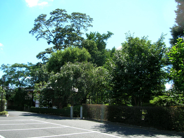 f0108399_17332912.jpg