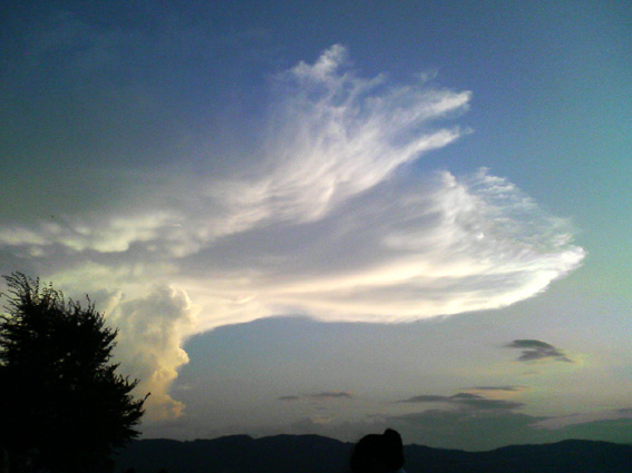 f0108399_187389.jpg