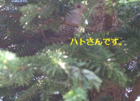 b0087400_0214281.jpg