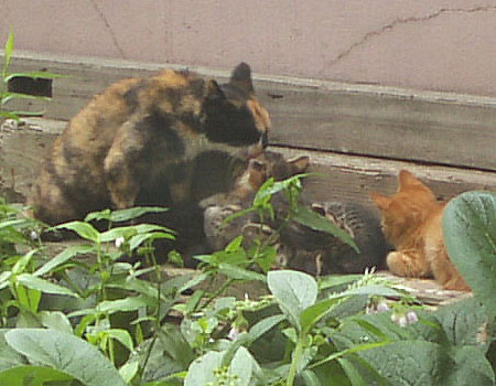 f0093600_23354472.jpg