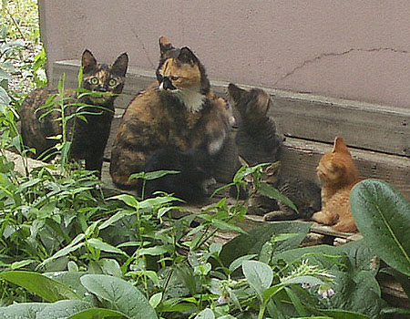 f0093600_23362688.jpg