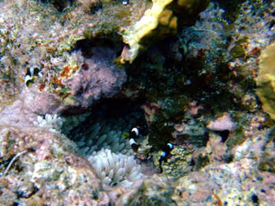 b0020307_16224337.jpg