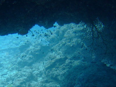 b0020307_16402432.jpg
