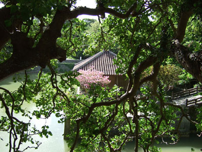 b0020307_1704614.jpg