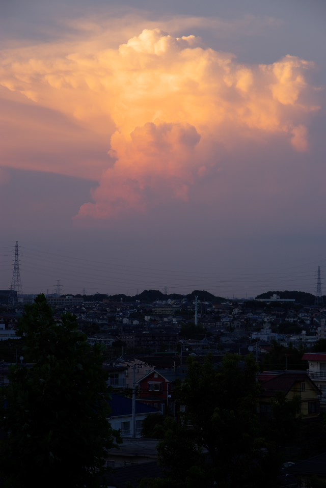 d0092109_21241779.jpg