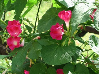e0033013_22502289.jpg