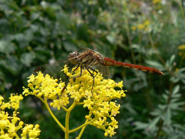 c0086014_22242432.jpg