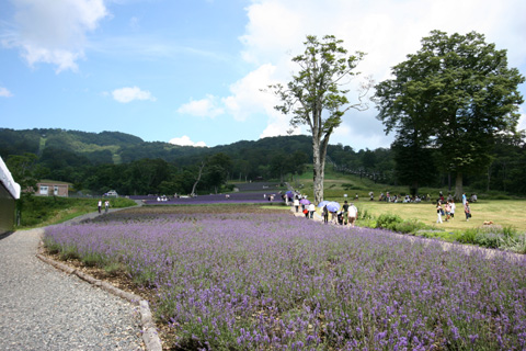 e0071225_11473363.jpg