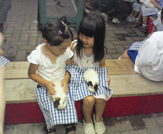 a0072328_11322251.jpg