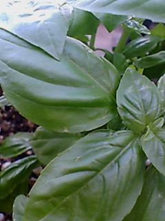 d0010628_23575387.jpg