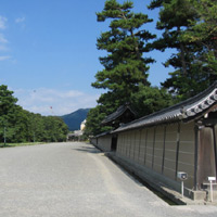 d0033734_1049287.jpg