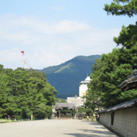 d0033734_1049557.jpg