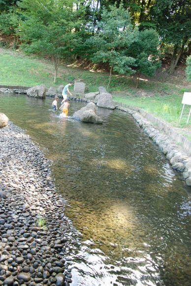 e0016135_745866.jpg
