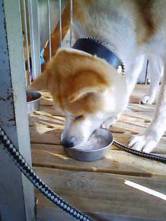 f0008935_1623069.jpg
