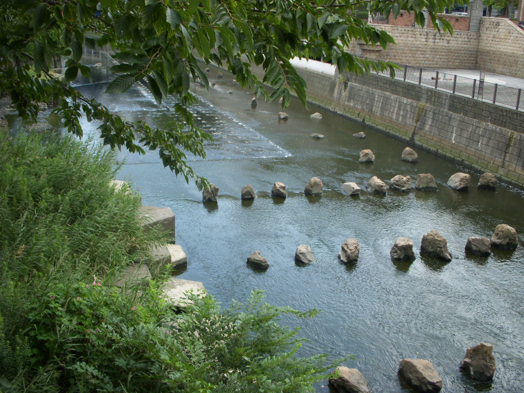 b0019140_13563793.jpg