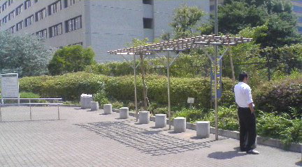 d0023742_13374281.jpg