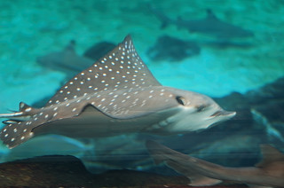 f0129543_9195239.jpg