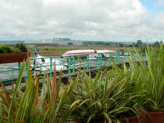 f0019444_5412791.jpg