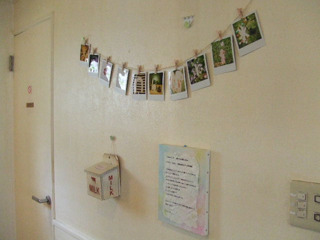 c0071545_840438.jpg
