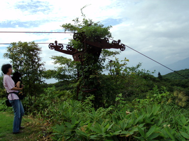 a0009750_1337158.jpg