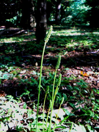 d0091754_0563232.jpg