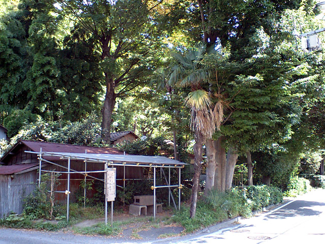 b0024261_1153572.jpg