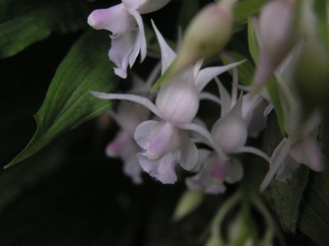 c0042869_1821265.jpg