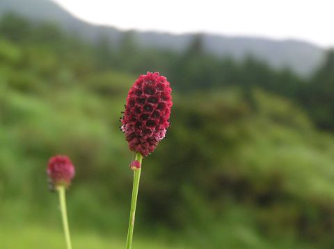 c0042869_20245169.jpg