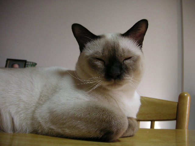 e0007273_12122440.jpg