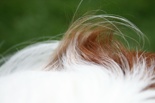 e0114977_10445866.jpg