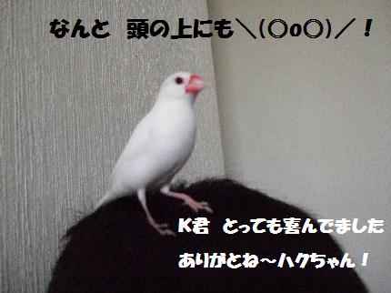 d0070289_14232981.jpg