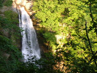 c0029190_1924391.jpg