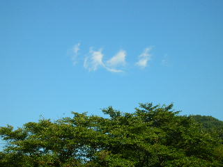c0029190_19274298.jpg