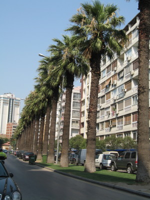 f0058691_726683.jpg
