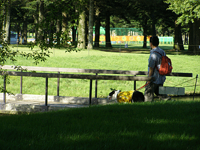 f0032194_1043321.gif