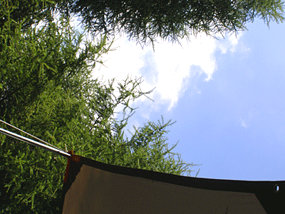 f0032194_10555264.gif