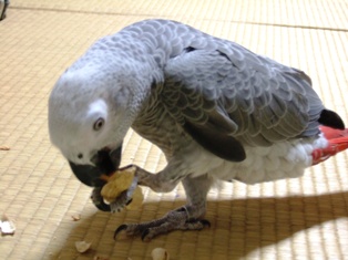 c0118496_66196.jpg