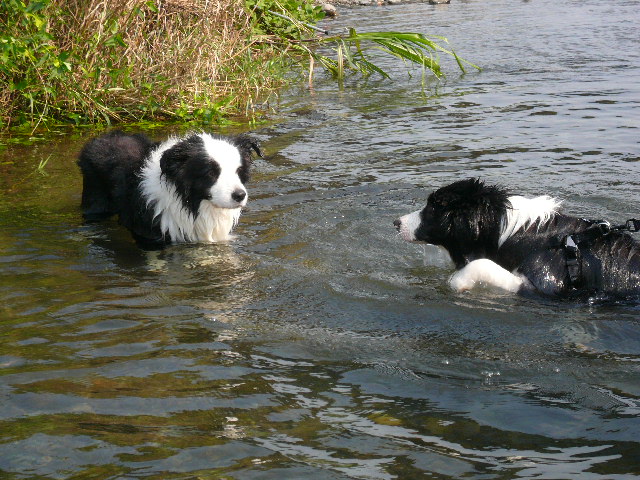e0028401_21105586.jpg
