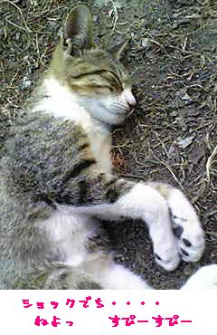 c0103205_22233680.jpg