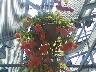 e0092907_20364368.jpg