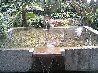 e0092907_20442836.jpg