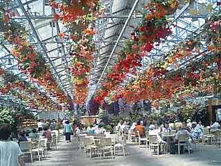 e0092907_204458100.jpg