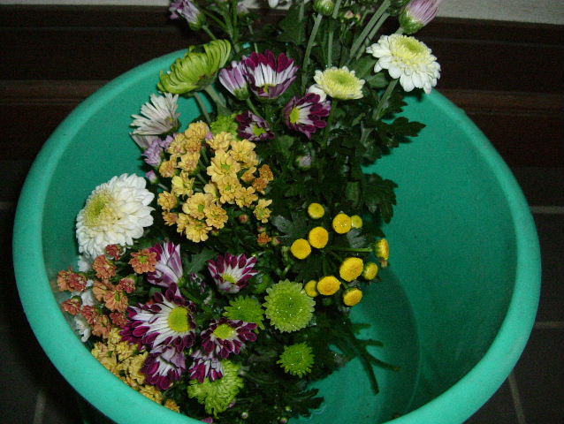 f0113109_1110761.jpg