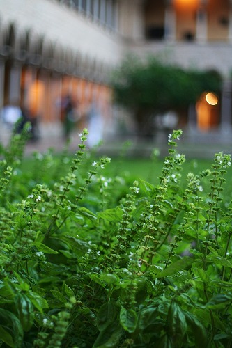 b0064411_20332141.jpg