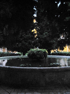 b0064411_5292984.jpg