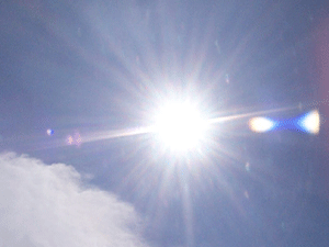 a0055913_0143355.gif