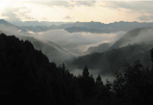 a0055913_0155764.gif
