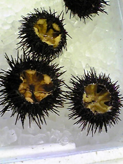 b0007213_125552.jpg