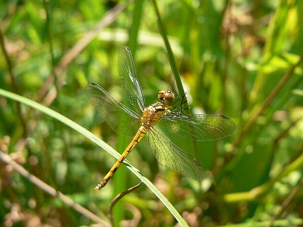 e0002314_19273634.jpg
